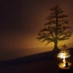 Adam-Frank-Lumen-LED-the-stainless-steel-shadow-projector-and-nightlight-1