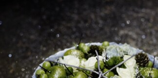 Den_store_gave_converted