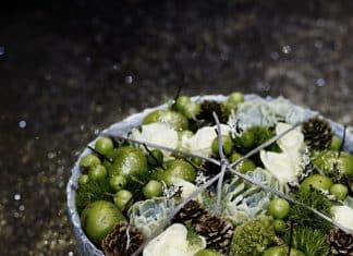 Den_store_gave_converted