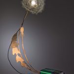 dandelight-2