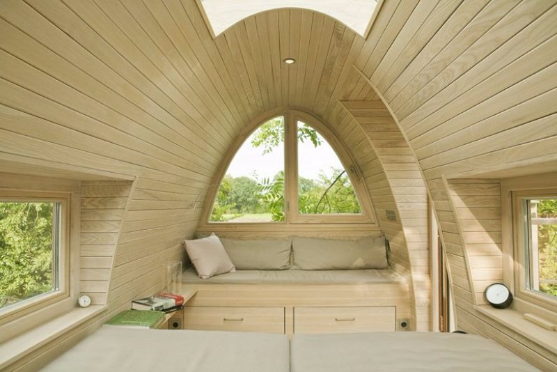 King of the frogs treehouse 1