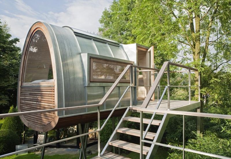 King of the frogs treehouse6