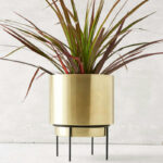 Adelphi Planter