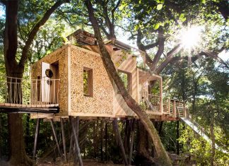 the-woodmans-treehouse-3