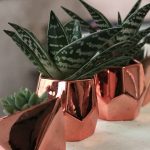 Purzest Cacti Pots,Ceramic Succulent Planter Modern Home Decor Cactus Plant Pot, 3 inch Copper Color 2 Set