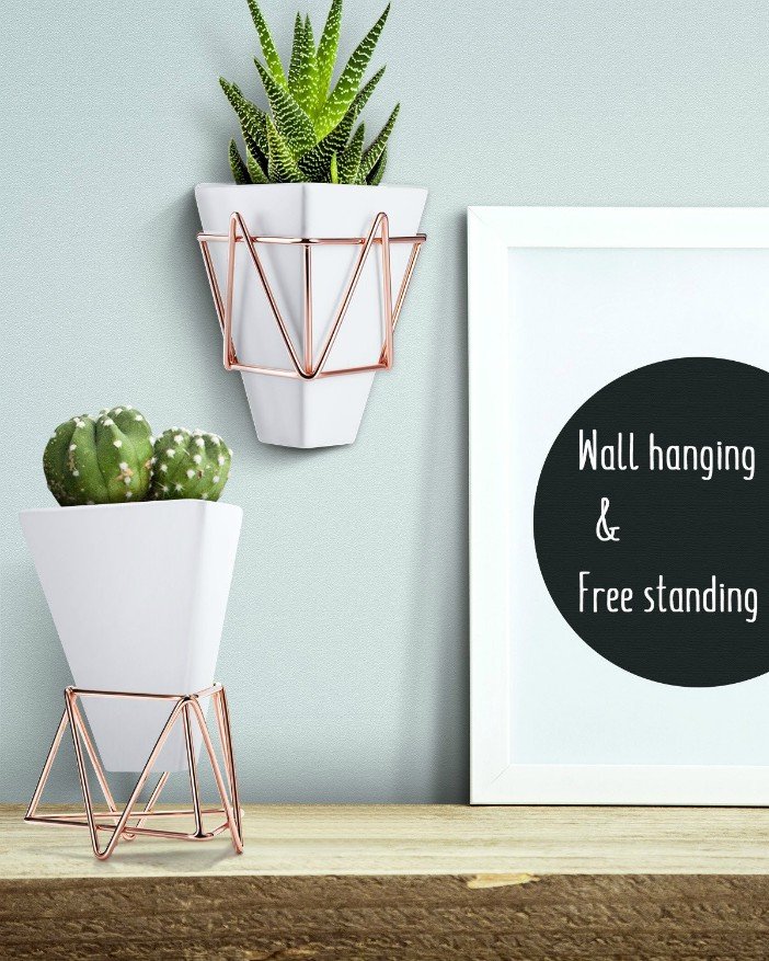Wall and Desk Planters Vase
