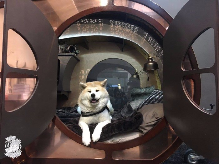 love-bird-company-steampunk-teardrop-trailer-12