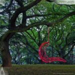 Recliner (single) by Joanina Pastoll