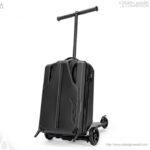 Floh Travel Luggage by Rohan Siebel