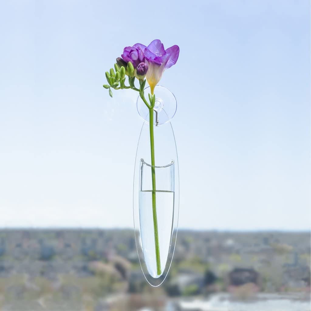 Ten Beautiful Vases You Can Hang on the Wall Living in a shoebox