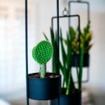 black-hanging-planter