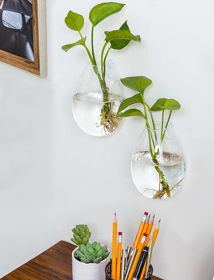 Ten Beautiful Vases You Can Hang on the Wall Living in a shoebox