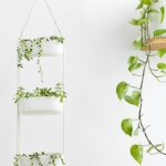 hanging-white-planter