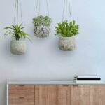 wall-planters