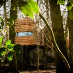 exterior-of-faraway-treehouse-hidden-in-the-woods-in-cumbria