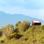 Tiny House in the vineyards near Barcelona 5