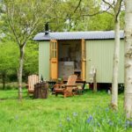 Sika-hut-1