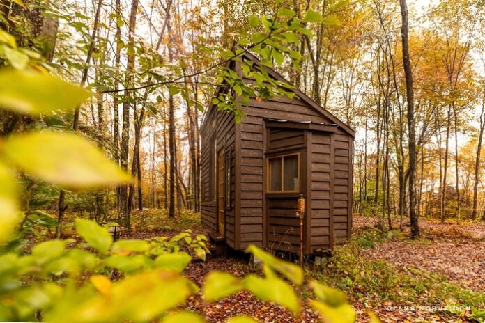Try Out Tiny House Living in These 18 Beautiful Holiday Homes - Living ...