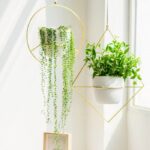 2 Pcs Plant Hanger – A Diamond & A Circle Shape, Metal Hanging Planter Modern Home Decor, Fits Large 6 Inch Planter, Gold