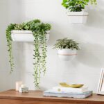 AmazonBasics Wall Planter, Round – White Copper (3-Pack)