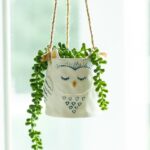 Diona Ceramic Hanging Planter
