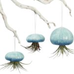 Hanging Air Plant Planters – Set of 3 Ceramic Sea Urchins