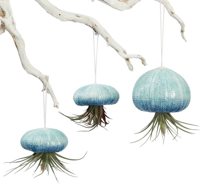 Hanging Air Plant Planters Set of 3 Ceramic Sea Urchins - 20 Stylish Ideas for Decorating Your Small Space With Plants