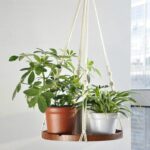 TIMEYARD Macrame Plant Hanger – Indoor Hanging Planter Shelf – Decorative Flower Pot Holder – Boho Bohemian Home Decor, in Box, for Succulents, Cacti, Herbs, Small Plants