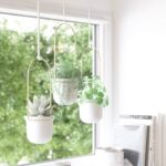 Umbra, White Brass Triflora Hanging Planters for Indoor Plants or Herbs