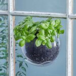 Window Plant Pod