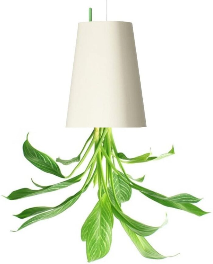 51iYglTsI0L._AC_SL1024_