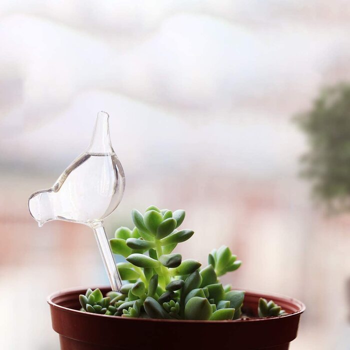 61E1-T+eJ0L._AC_SL1200_