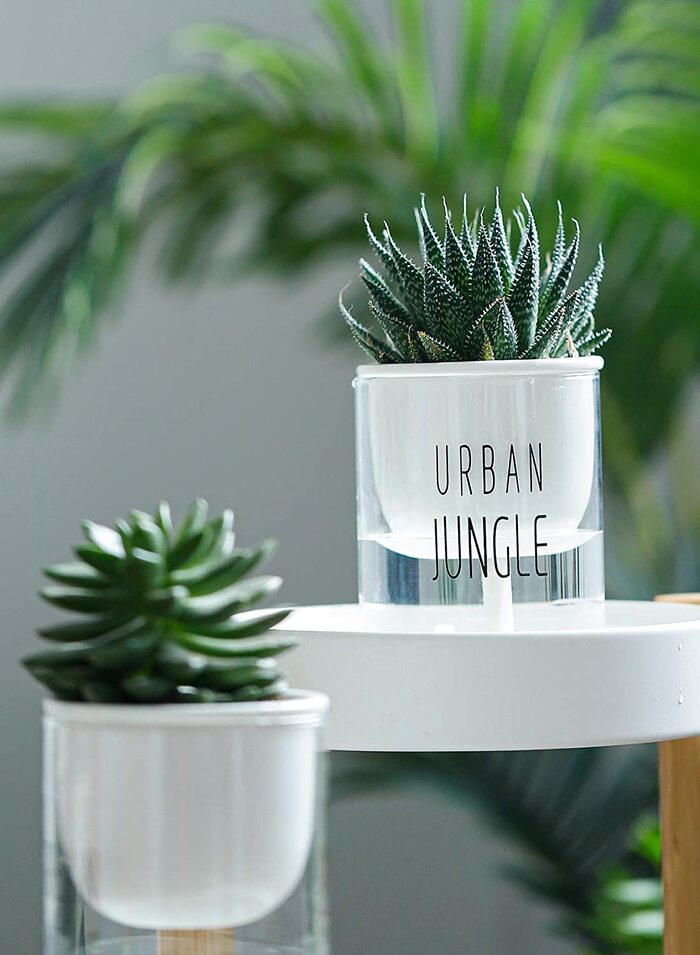 71GlkzvV5zL._AC_SL1500_