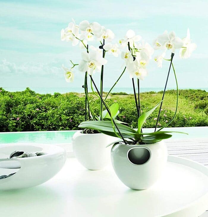 White self-watering planter