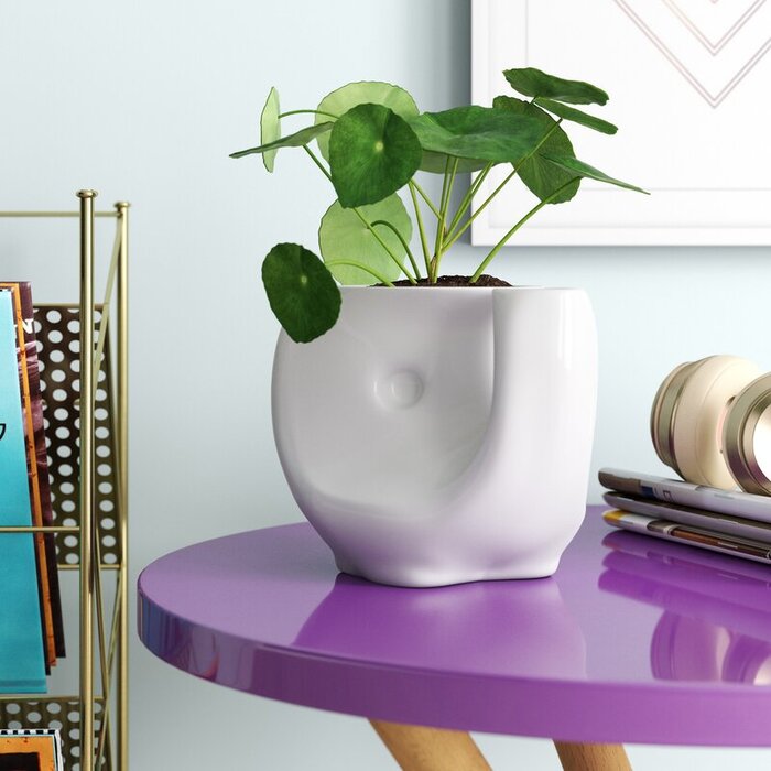 Farley+Eleplanter+Self-Watering+Stoneware+Pot+Planter