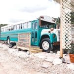 The WanderBus