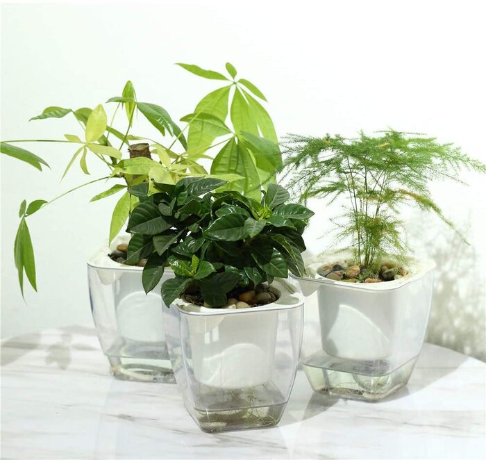 self-watering_plant_ideas (2)