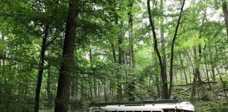 bus-conversion-sasquatters