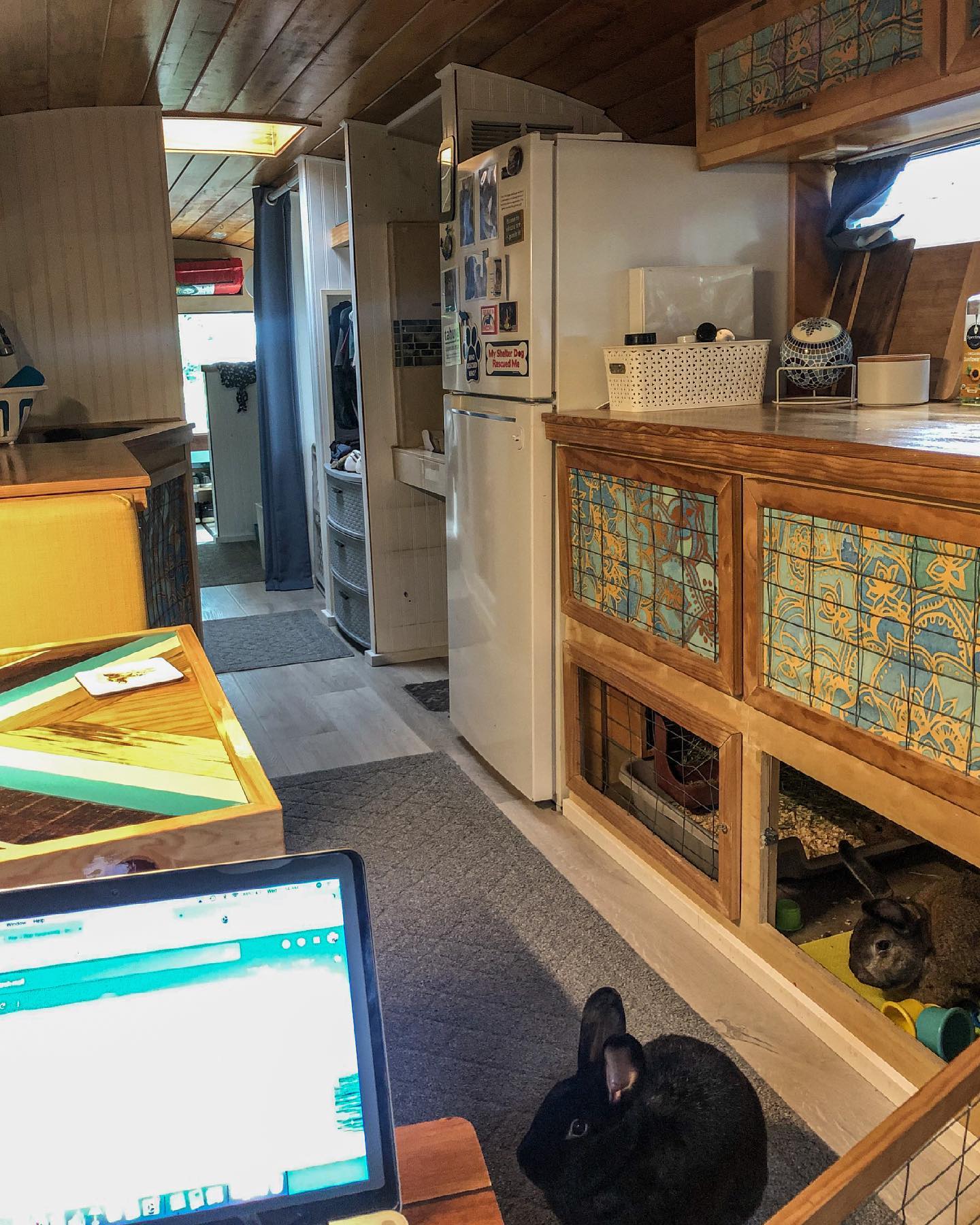 soulful bus conversion 17 - This Incredible Bus Conversion was built for 2 Bunnies, 2 Cats, 1 Dog, and Their Adventurous Humans