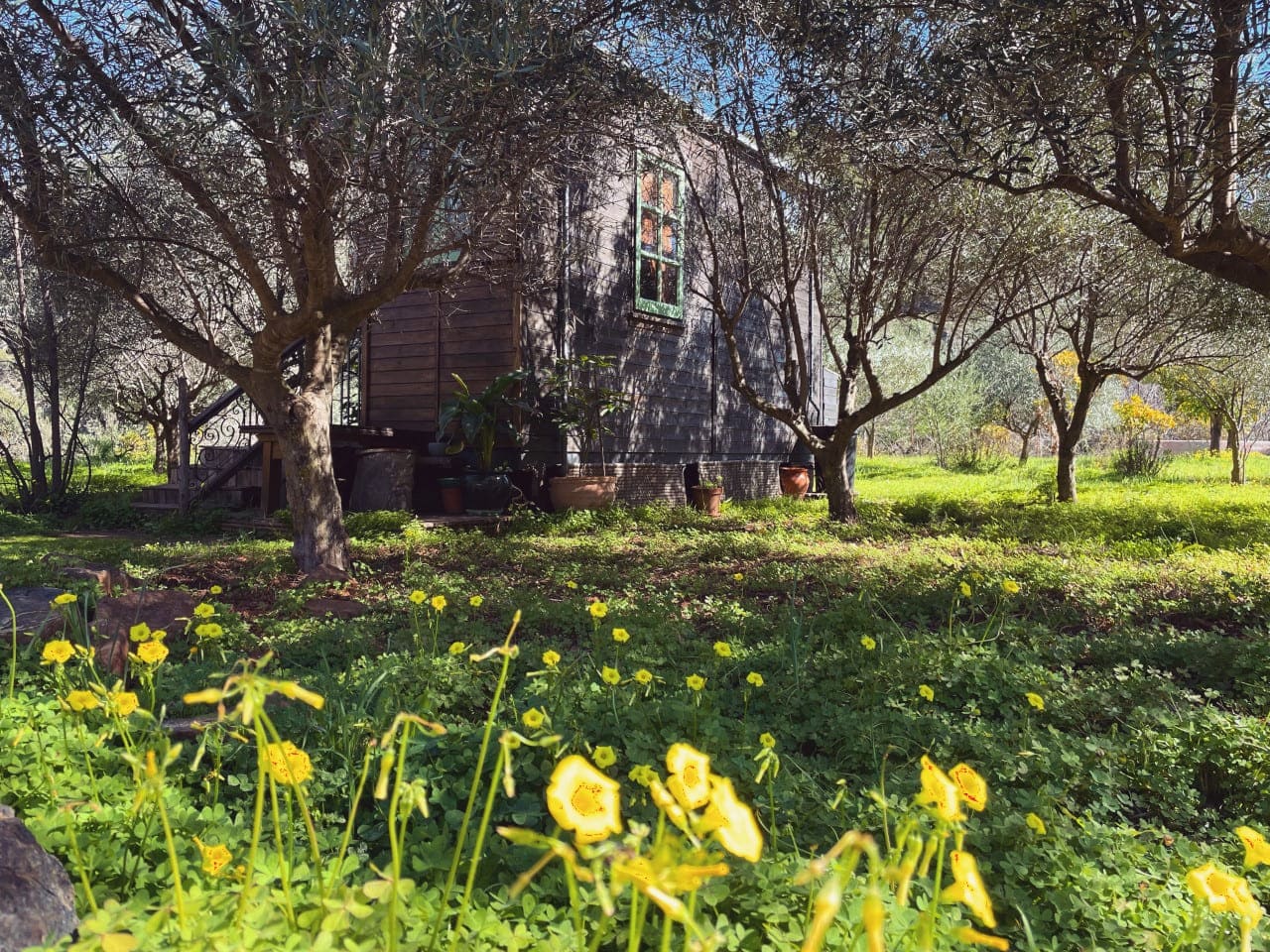 eden-tiny-house (12)