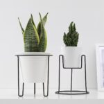 enlarge-svartpeppar-plant-stand-indoor-outdoor-black__0561758_pe663111_s5-enlarge
