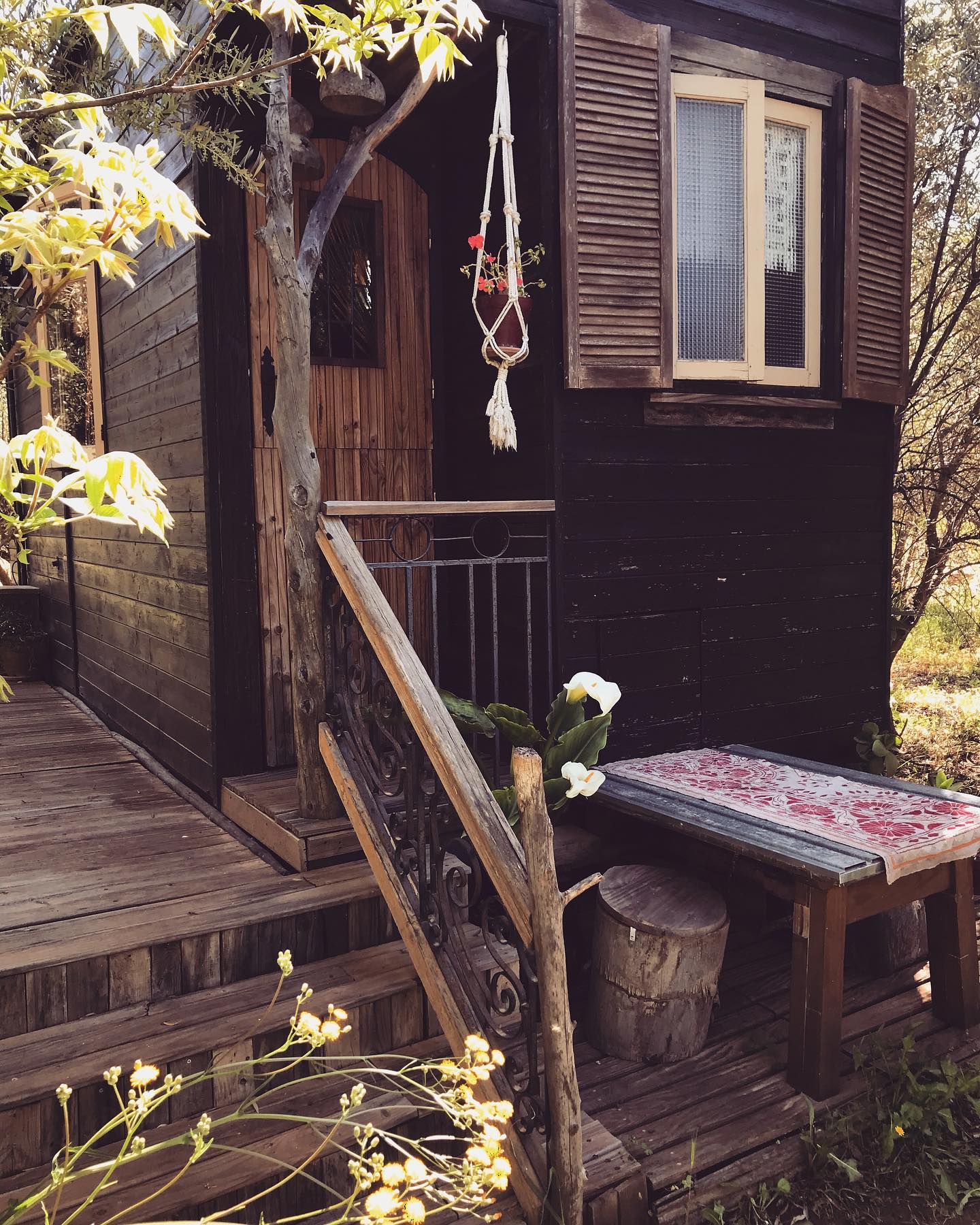 tiny-house-eden