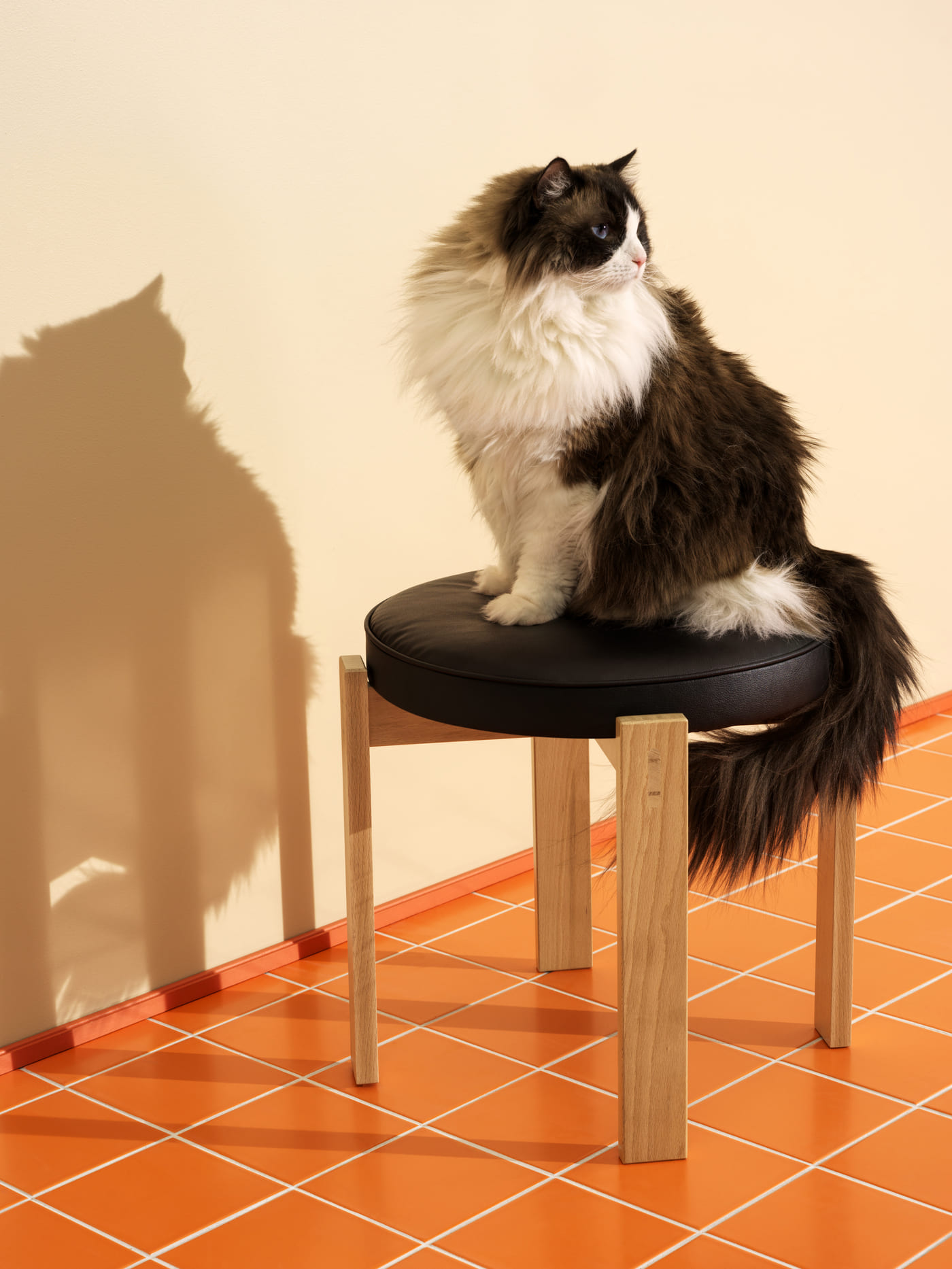 IKEA_HOLMSJO_pall_PH194854