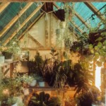 Tiny-Meyson-house (9)