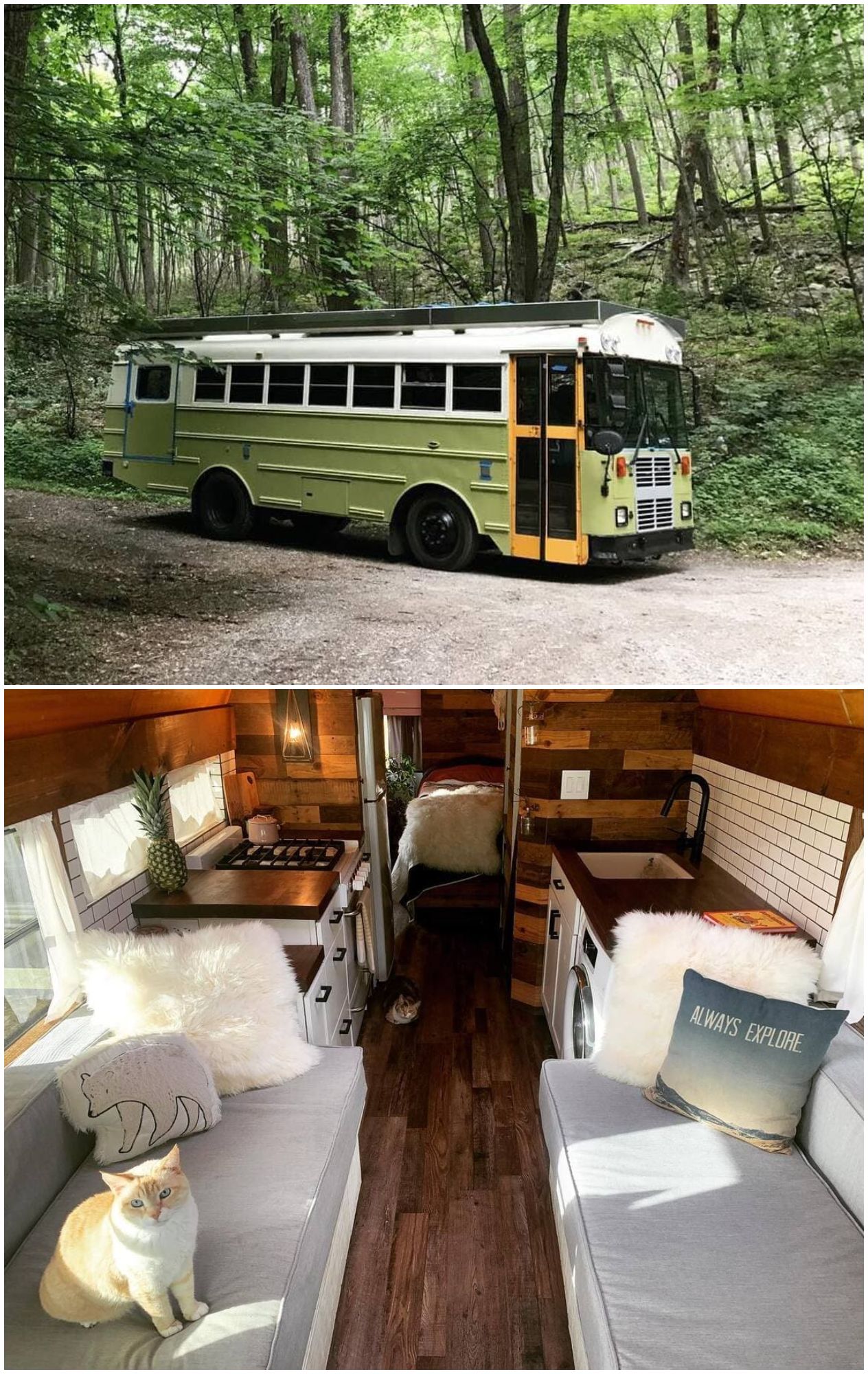 bus-conversion-sasquatters