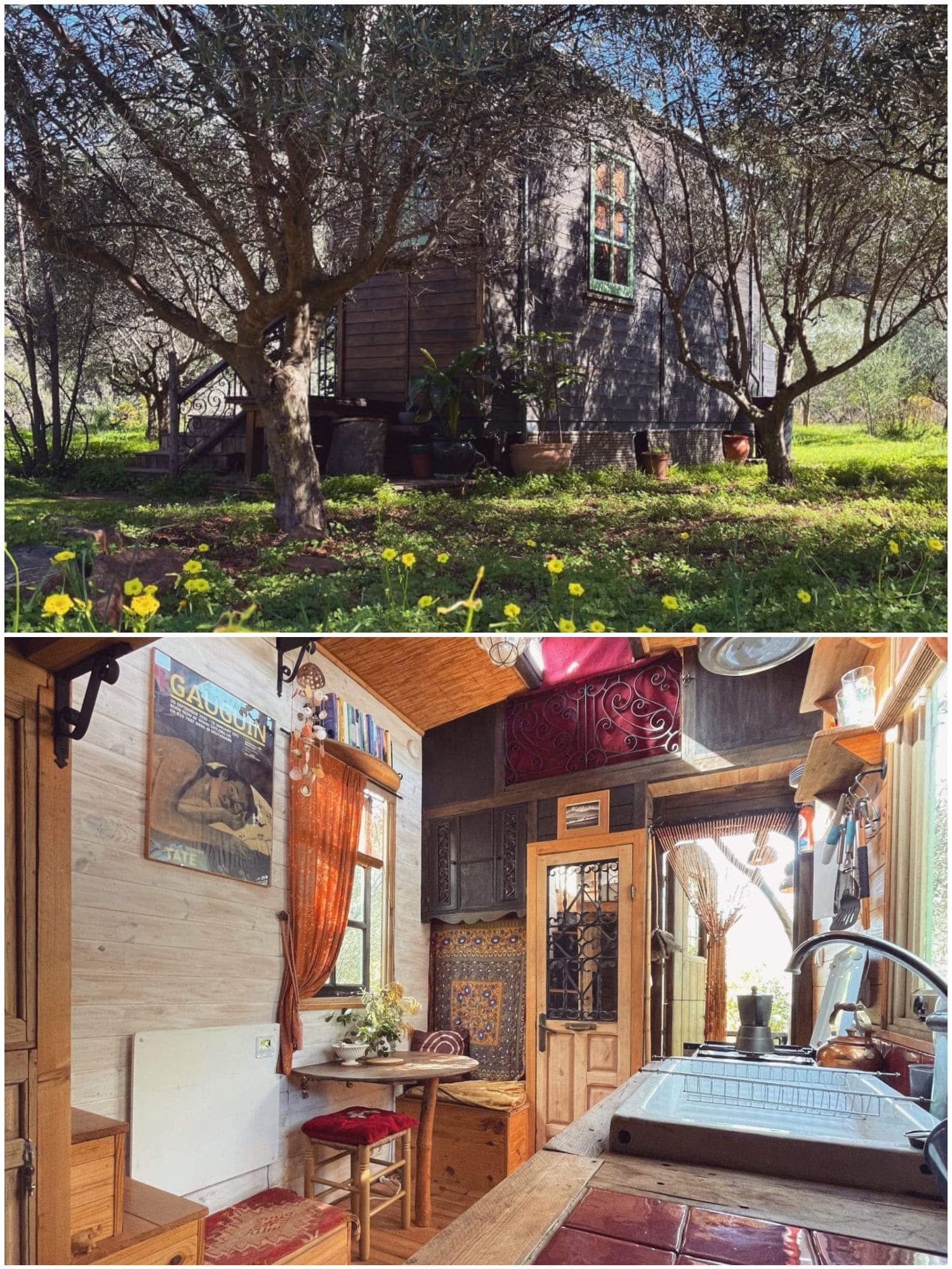 eden-tiny-house (1)