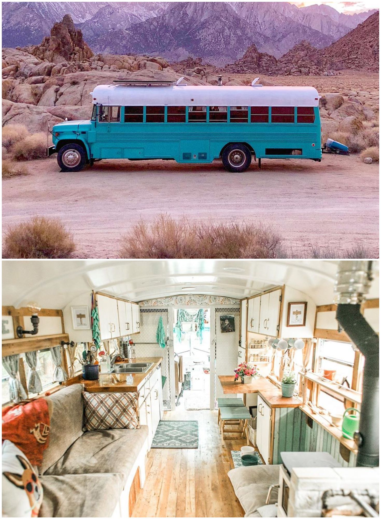 the-wild-drive-bus