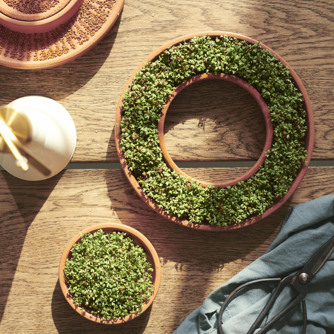 IKEA Unveils New Collection for Plant Lovers: Reinventing Indoor ...