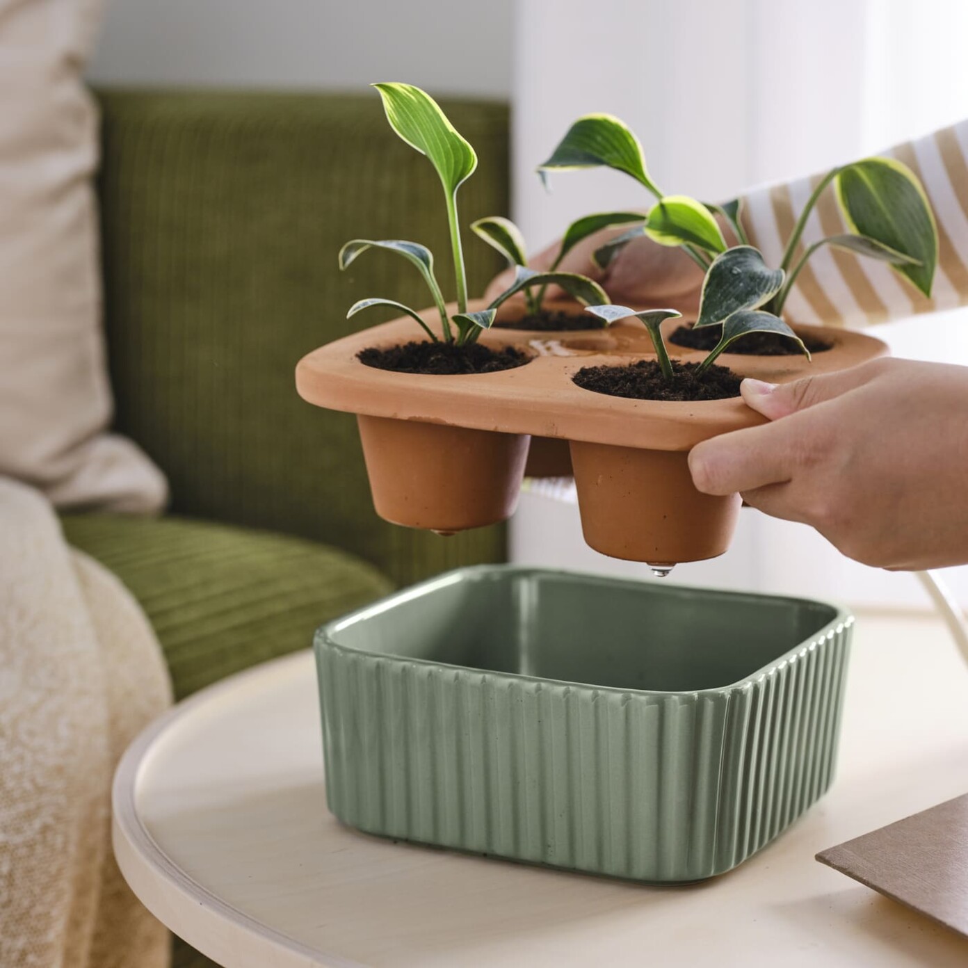 IKEA Unveils New Collection for Plant Lovers: Reinventing Indoor ...