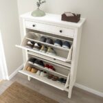 hemnes-shoe-cabinet-with-2-compartments-white__1151418_pe886155_s5